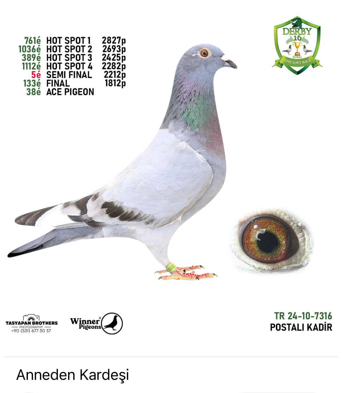 TR25-80-2928 / GENC - BABASI 1 AS KLASMAN DERBY10ANNESİ 1 AS KLASMAN TURKIYE PREMIUM