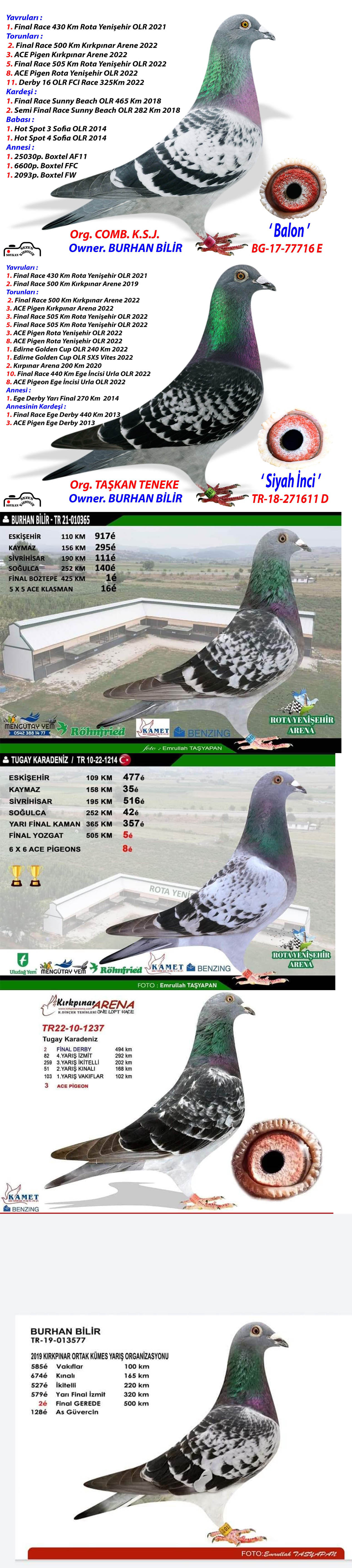 TR25-80-2928 / GENC - BABASI 1 AS KLASMAN DERBY10ANNESİ 1 AS KLASMAN TURKIYE PREMIUM