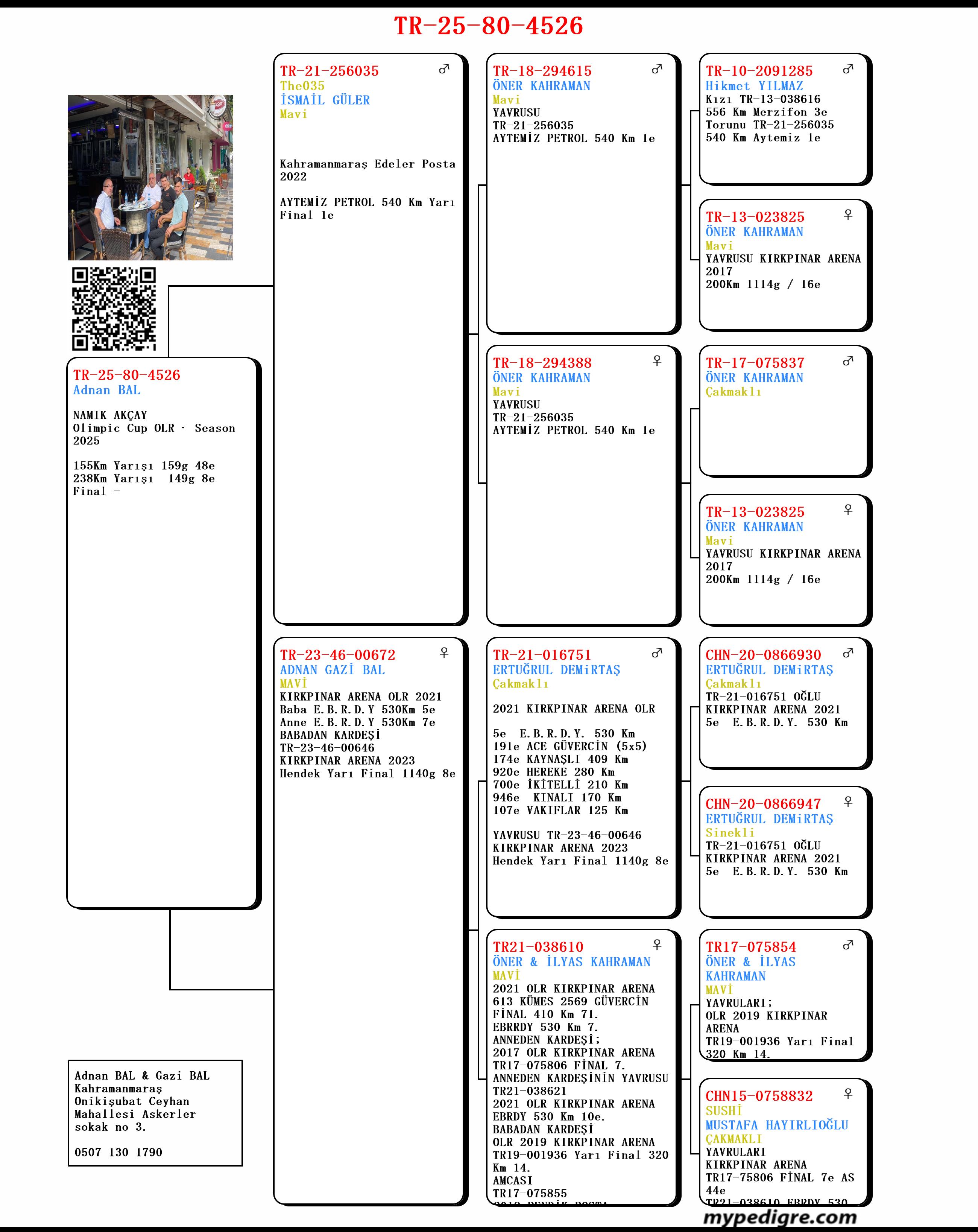 TR25-80-4526 ERKEK / NAMIK - ÇETO  9 FİNAL 425 KM