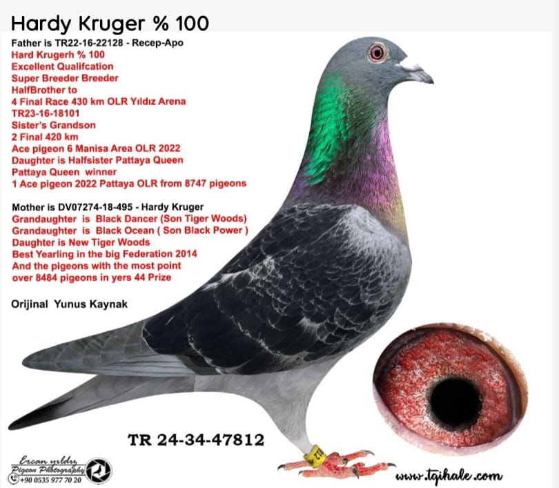 TR26-39-1610 DİŞİ / BLACK 10