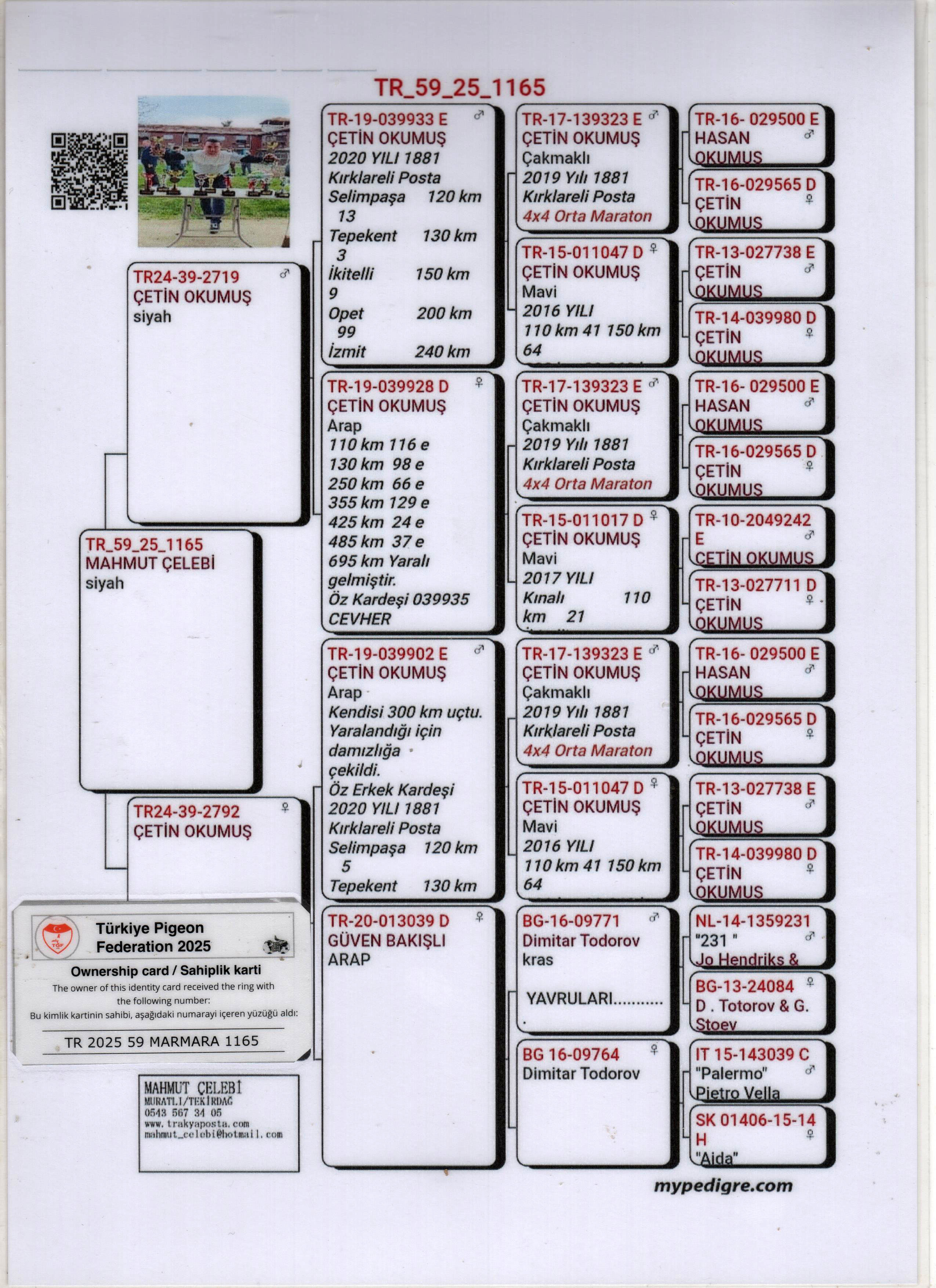 TR59-25-1165 ERKEK / MERVE - KOOPMAN