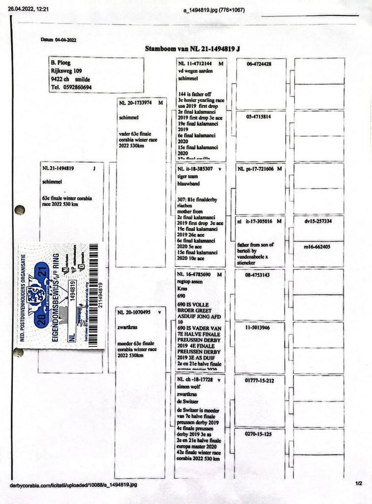 TUGF25-34-2278 DİŞİ / INBREED BERT PLOEG 
