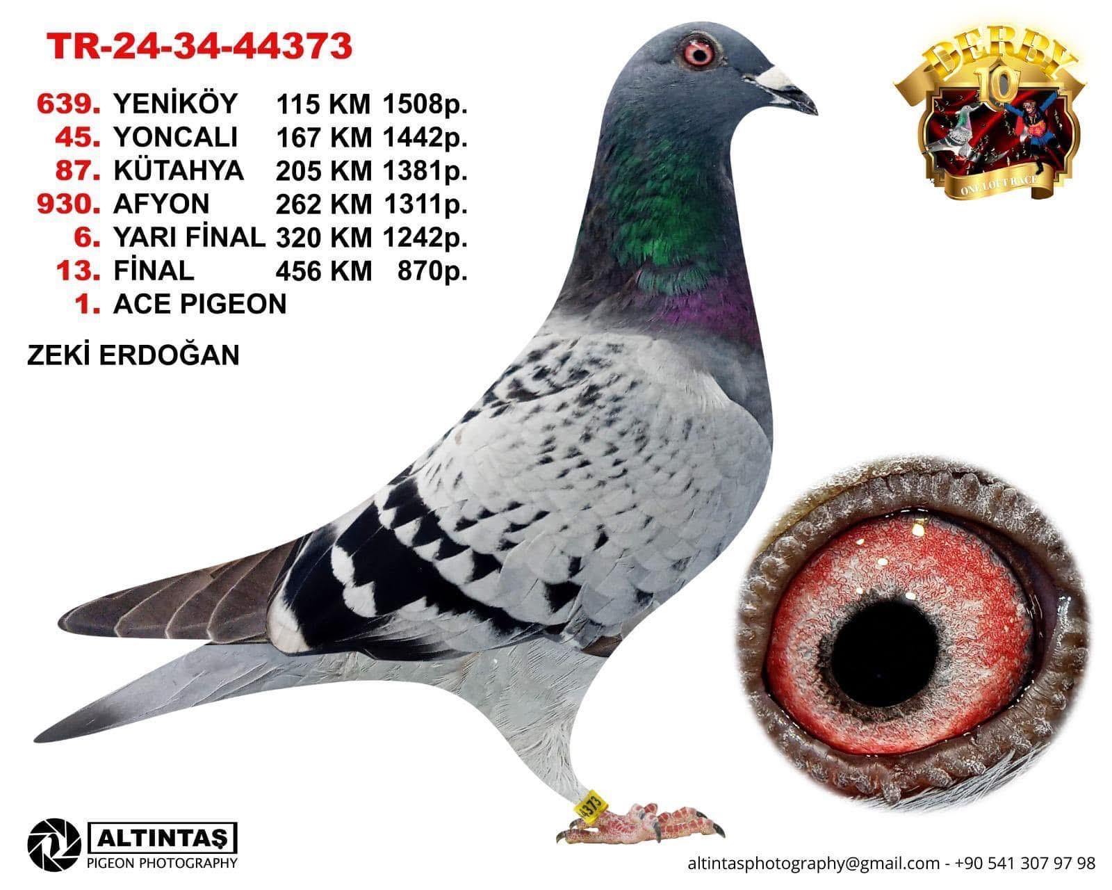 TUGF25-34-2289 ERKEK / ANNEDEN KARDEŞİ 18 FİNAL 505 KM DERBY 10 - 12 SEMİFİNAL
